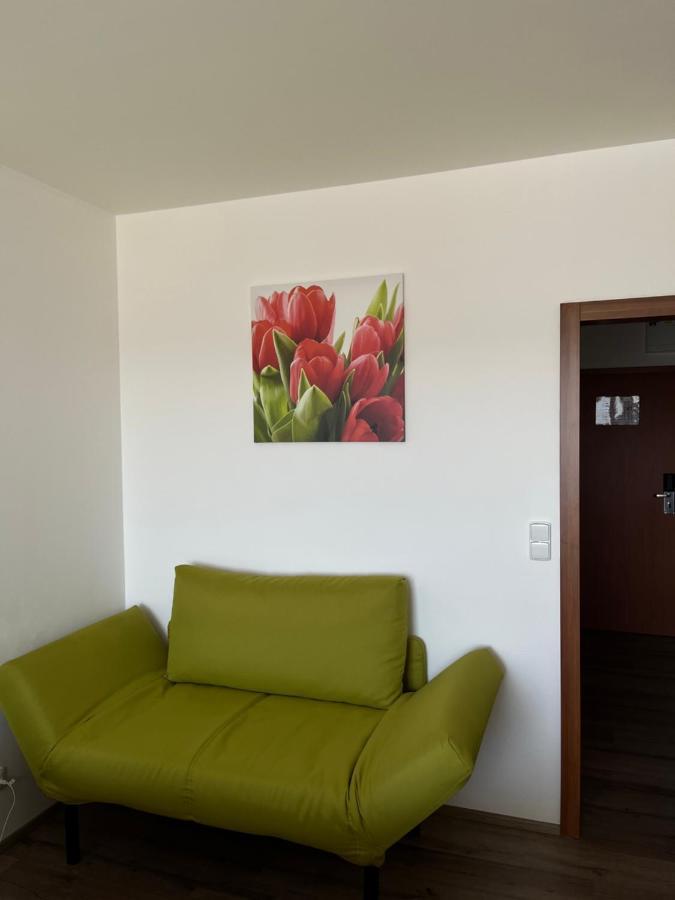 Ubytování Hanka v hotelovém pokoji C408 Frymburk Exterior foto